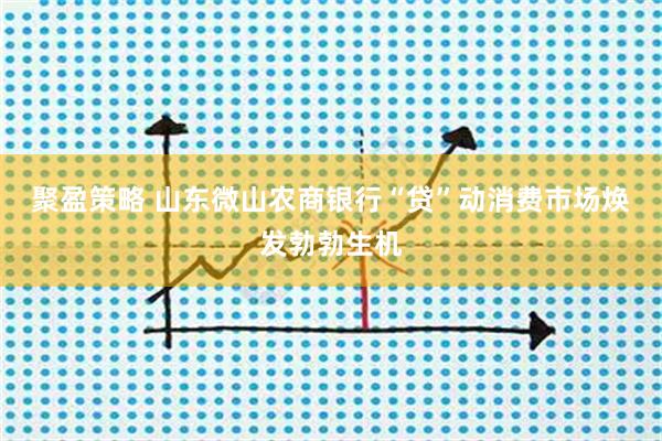 聚盈策略 山东微山农商银行“贷”动消费市场焕发勃勃生机