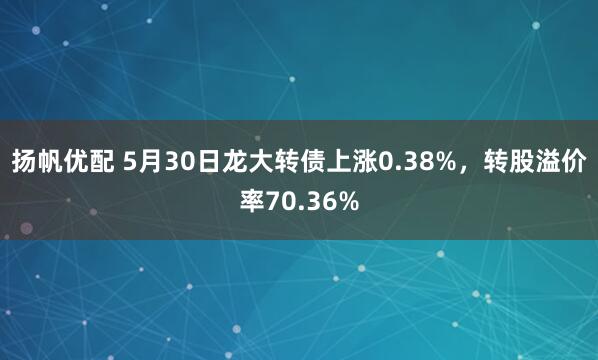 扬帆优配 5月30日龙大转债上涨0.38%，转股溢价率70.36%