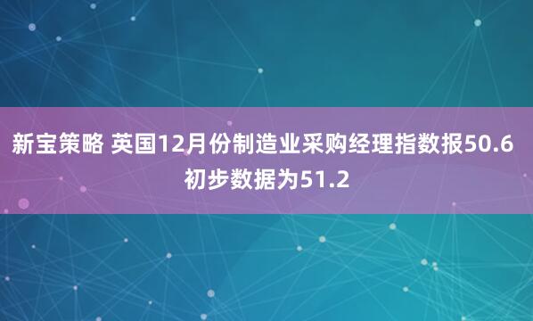 新宝策略 英国12月份制造业采购经理指数报50.6 初步数据为51.2